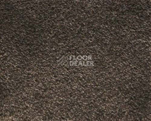 Ковролин Radici Lord Bisonte 328C фото 1 | FLOORDEALER